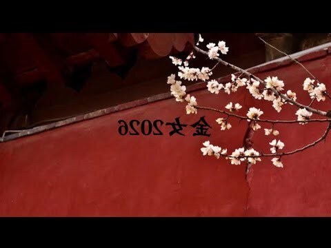 庚金女 丁火男